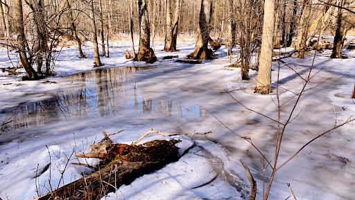 RIM Park