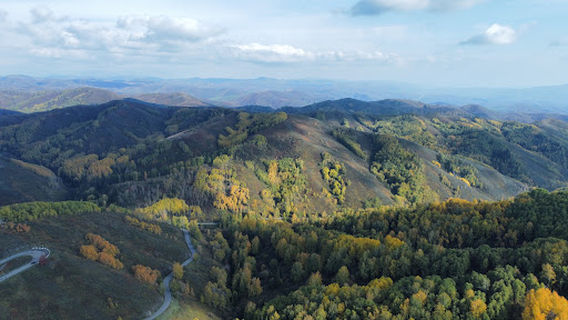 Quận Altai