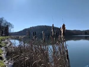 Big Ditch Wildlife Management Area