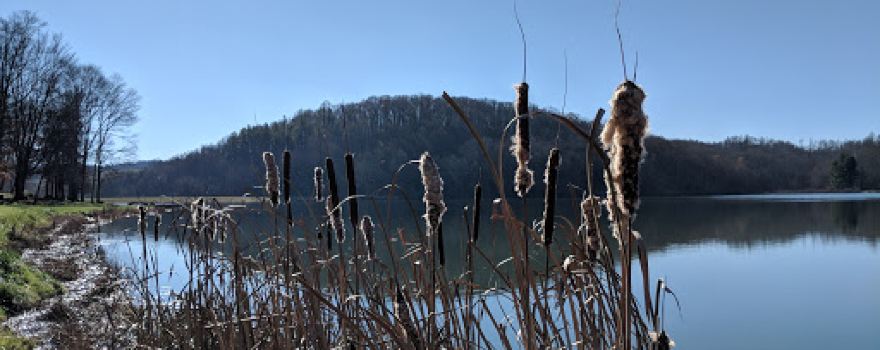 Big Ditch Wildlife Management Area