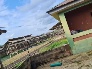 Awotunde Farm