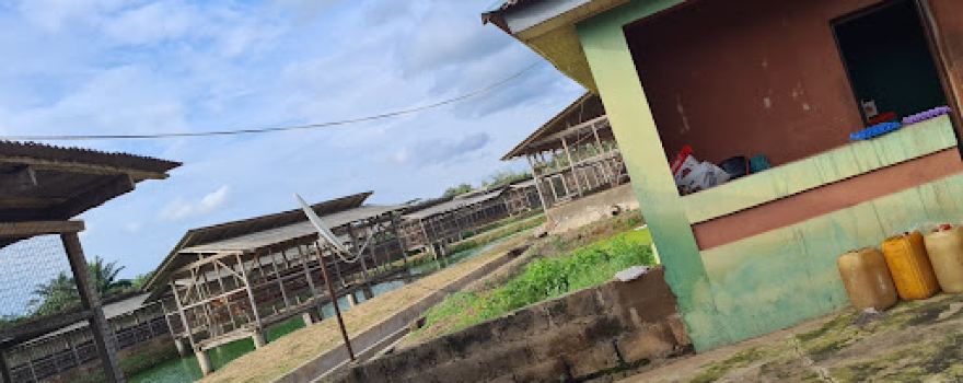 Awotunde Farm