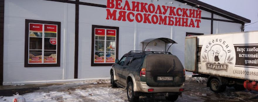 Чайка