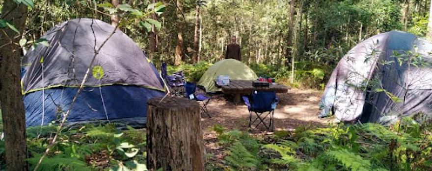Flaxton Walkers Camp
