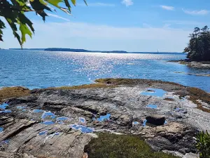 Wolfe's Neck Oceanfront Camping
