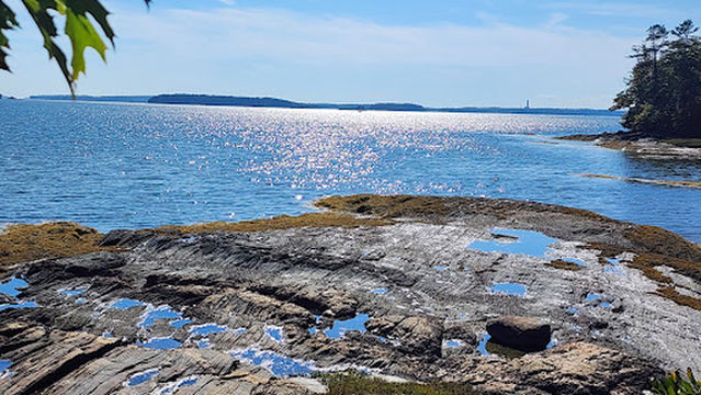 Wolfe's Neck Oceanfront Camping