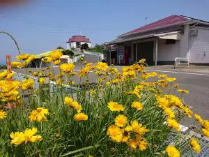 Kazenomieruoka Park