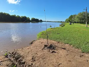Camping Alsina