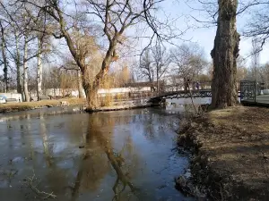 Шерстяник