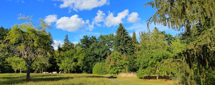 STEINENBRONNER TRAIL