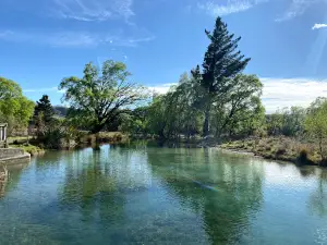 Kurow Holiday Park