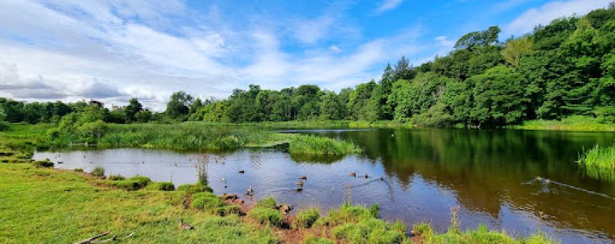 Duns Castle Estate