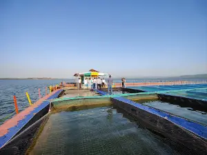 Dejla devada dam
