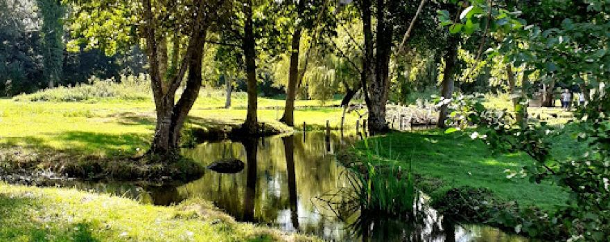 Pisciculture et Bistrot Les Viviers du Moulin de Langeais