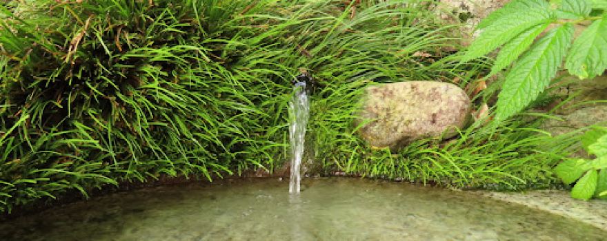 中の森長命水（里の名水・やまがた百選）