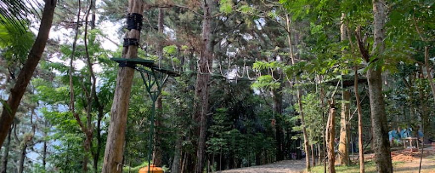 Wisata Pijar Park