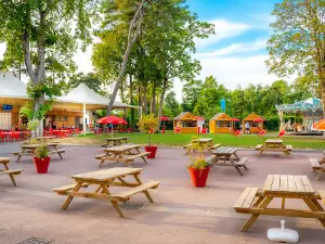 Camping Capfun Dune Fleurie