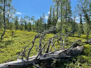 Varkaankuru Ravine