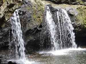 Fiery Gizzard Recreation Area
