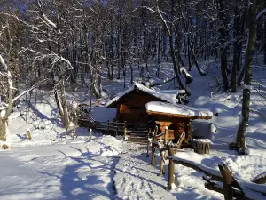 Pet'yal Istochnik