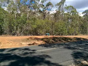 Toogoom Mountain Bike Trails and Skills Park