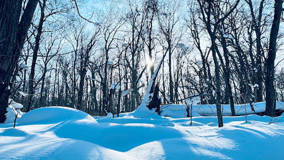 Nopporo Forest Park Osawa Entrance
