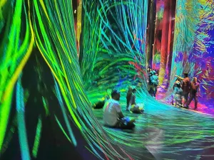teamLab Phenomena Abu Dhabi