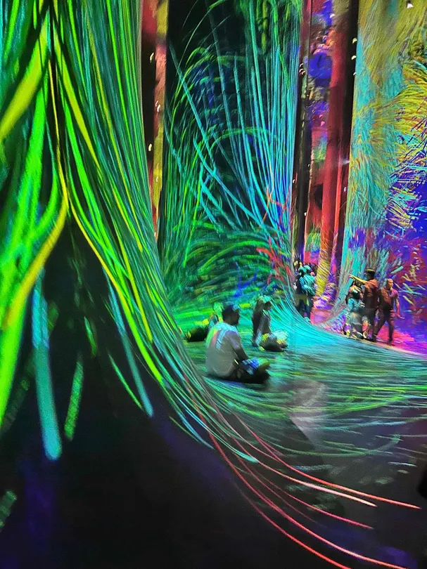 4_teamLab Phenomena Abu Dhabi