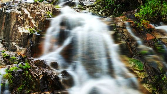 Yajia Scenic Area, Bawangling National Forest Park