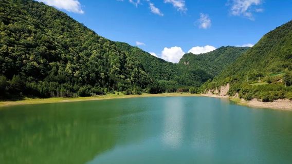 an hua gu cheng yi zhi