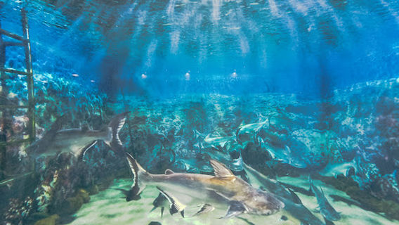 Kaplıkaya Growth Center