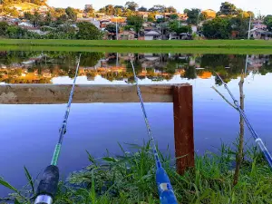 IV Alambari Park (Parque Gonzaga)
