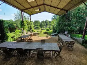 Le Domaine Vert : nature camping, yurt, chambre dhotes and retreats with lots of space