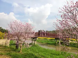 Thuy Hoa Temple