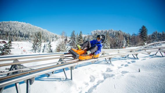 Schlitte Mountain - all-season sledge
