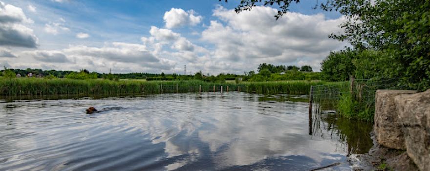 Jeskyns Community Woodland