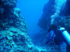 Hanimaadhoo Dive and Watersports