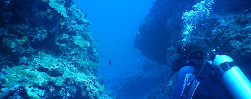 Hanimaadhoo Dive and Watersports