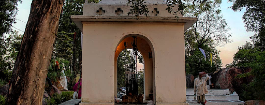 Rock Garden