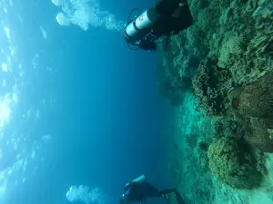 Padre Burgos Fish Sanctuary