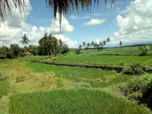Desa Wisata Sambiroto