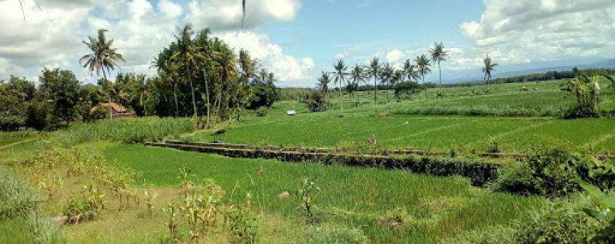 Desa Wisata Sambiroto