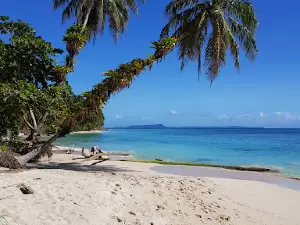 Zapatilla Island II
