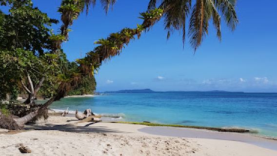 Zapatilla Island II
