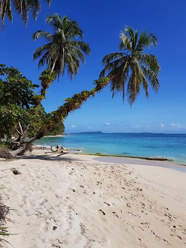 Zapatilla Island II