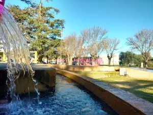 Main Square Cavanagh