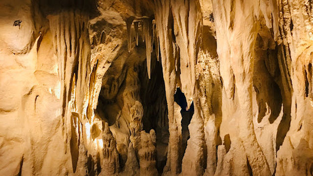 Sheikh Zayed Desert Learning Centre