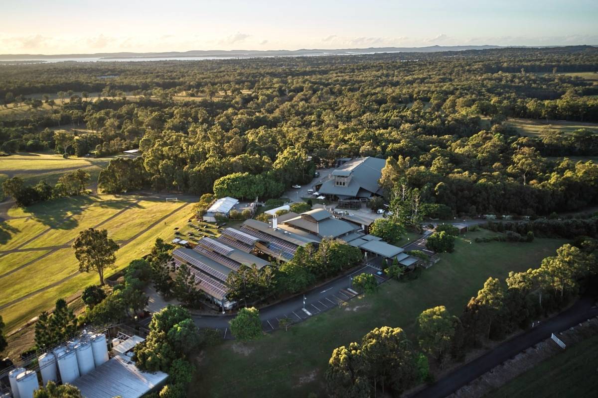 호주 와이너리 투어