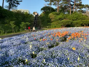 Hamamatsu Flower Park
