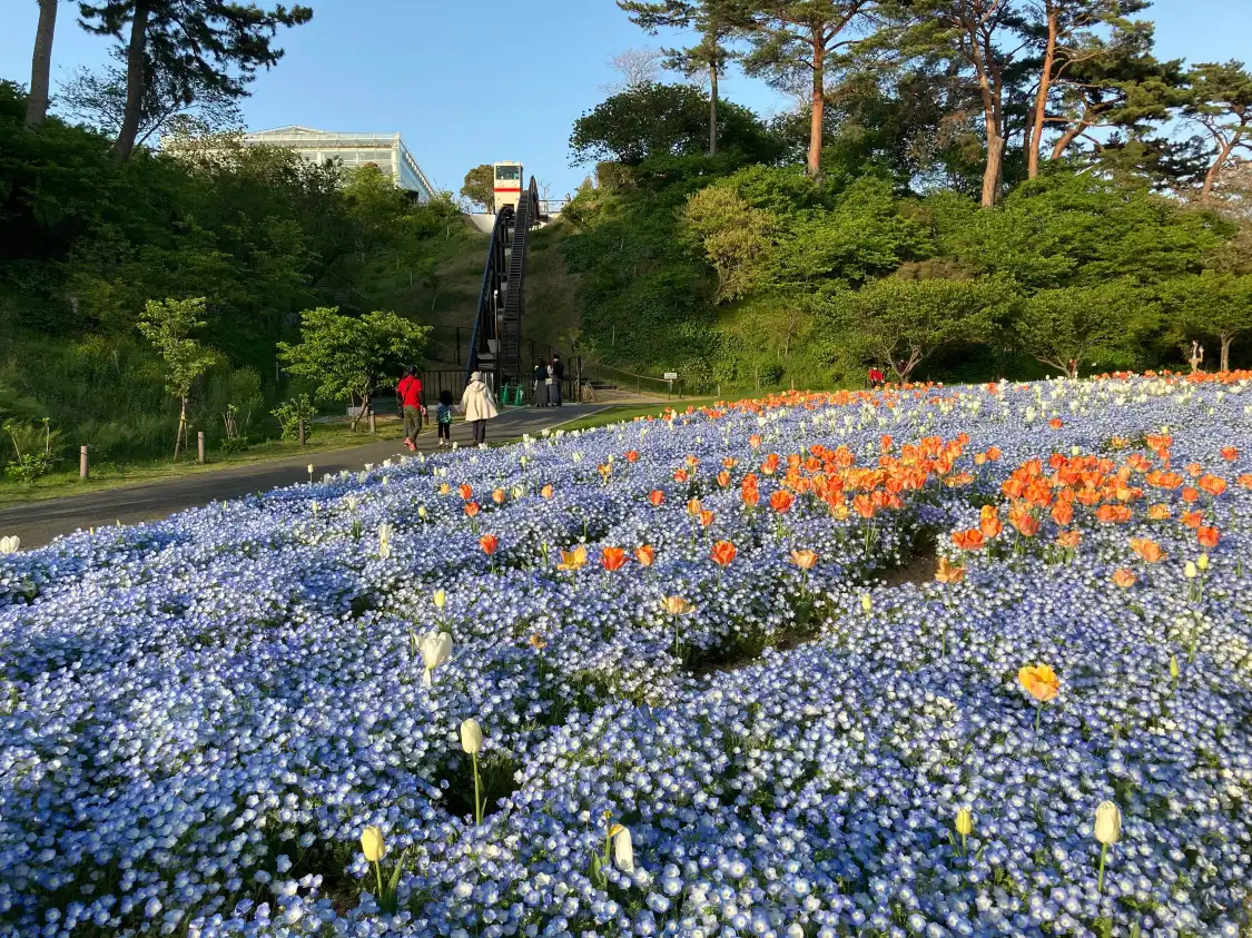 Hotels near Hamamatsu Flower Park